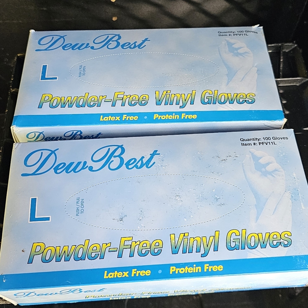 Disposable Gloves 2 Boxes (Large)